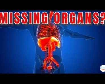 What Happens to the EMPTY Space After Organ Transplant?