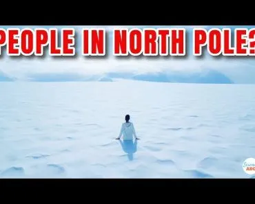 Do People Live in The North Pole?