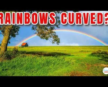 Why Are Rainbows CURVED?