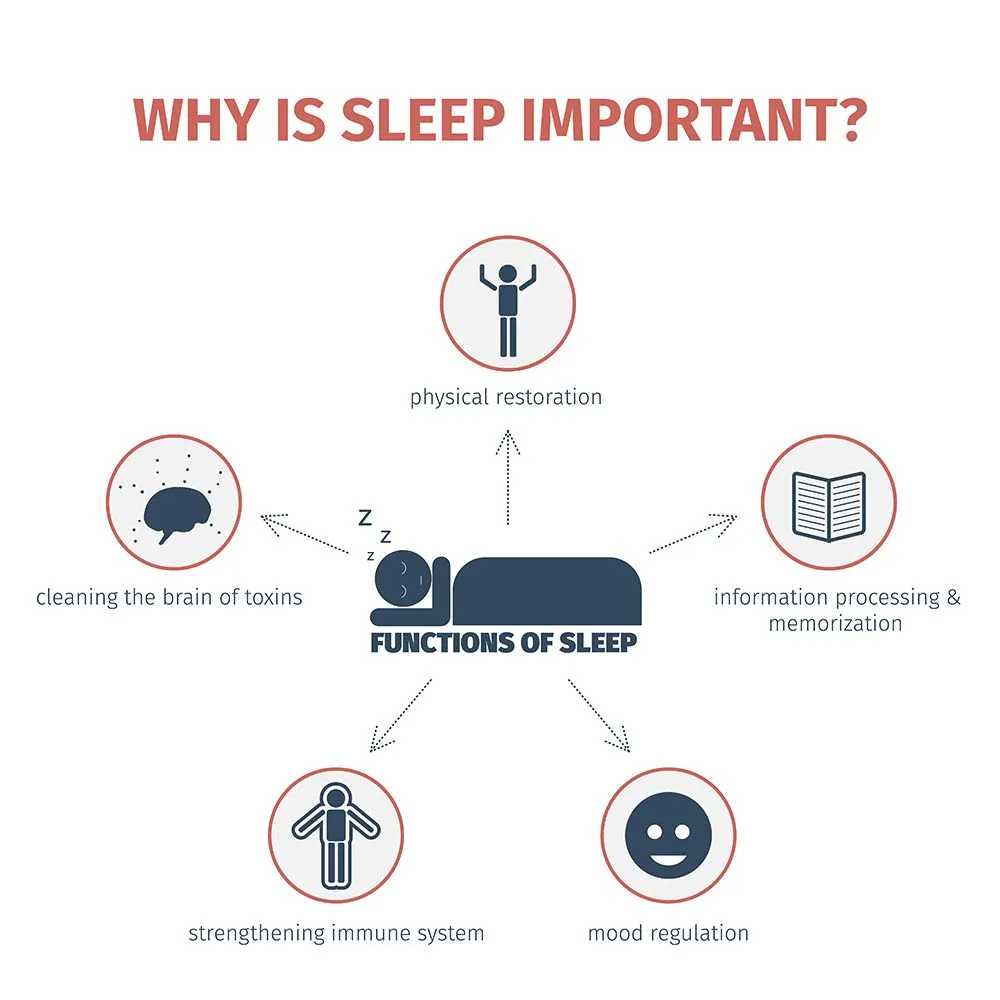 Sleep is a basic requirement for the general health and functioning of the body (Credits: Poltorak/Shutterstock)