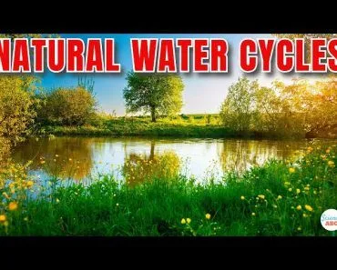 Why Don't Lakes Just Evaporate or Seep Into the Ground?