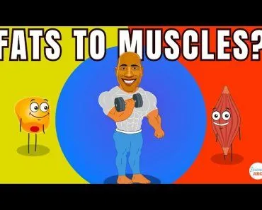 Can You Change Fat To Muscle When You Exercise?