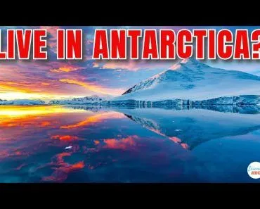 Can You LIVE In ANTARCTICA All Year Round?