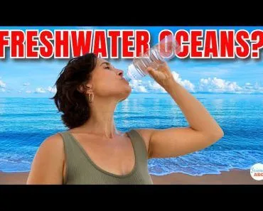 What If Our Oceans Became FRESHWATER?