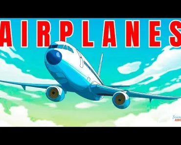 How Airplanes Work: A Simple Explanation for Beginners