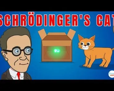 Schrödinger's Cat Explained in Simple Words for Beginners